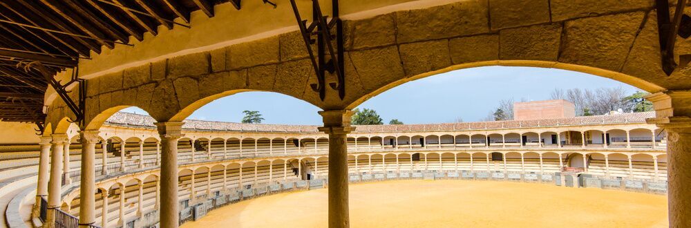 LA TAUROMAQUIA. UN TESORO COMUN A PRESERVAR